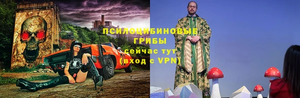 гидра Аркадак